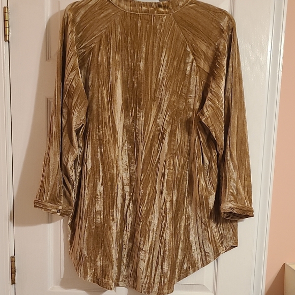 Cato Shimmering Gold Blouse - Picture 4 of 4